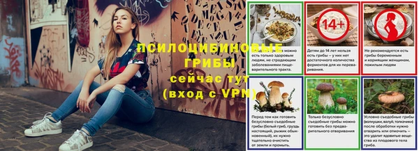 СК Алзамай
